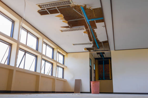 Best Basement water damage restoration  in St Marys, OH