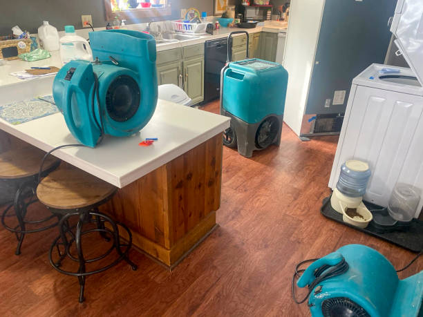Best Water damage cleanup near me  in St Marys, OH