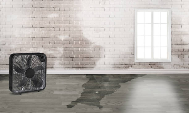  St Marys, OH Water damage restoration Pros