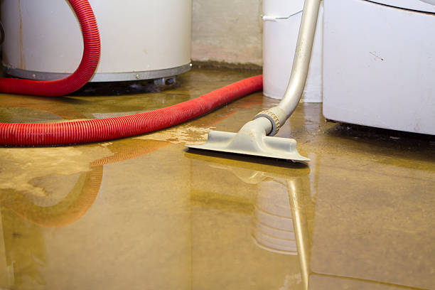 Best Water damage cleanup near me  in St Marys, OH