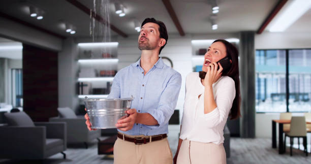 Best Water damage restoration near me  in St Marys, OH